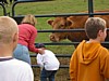 IMG_0634.JPG