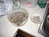 IMG_0284.JPG