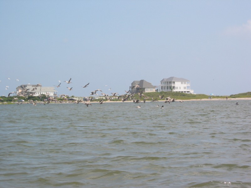 IMG_0329.JPG