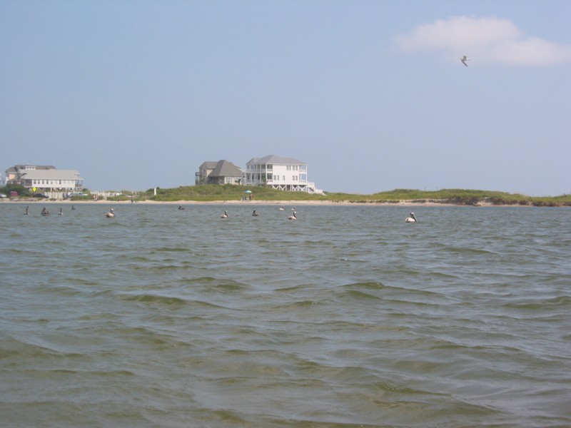 IMG_0333.JPG