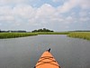 IMG_0307.JPG