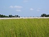 IMG_0320.JPG