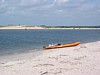 IMG_0337.JPG