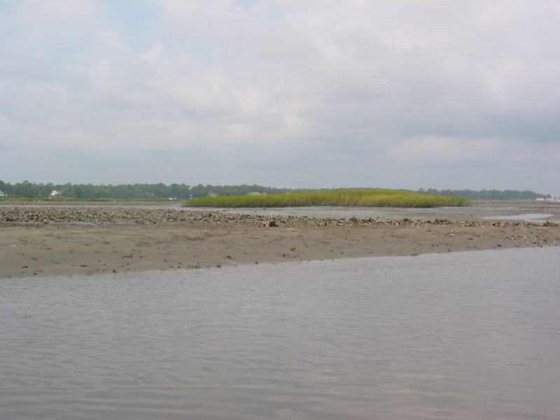 IMG_0362.JPG