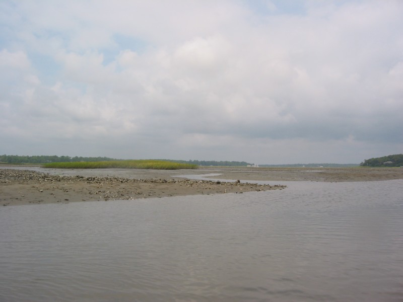 IMG_0363.JPG