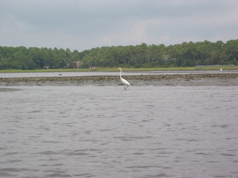 IMG_0365.JPG