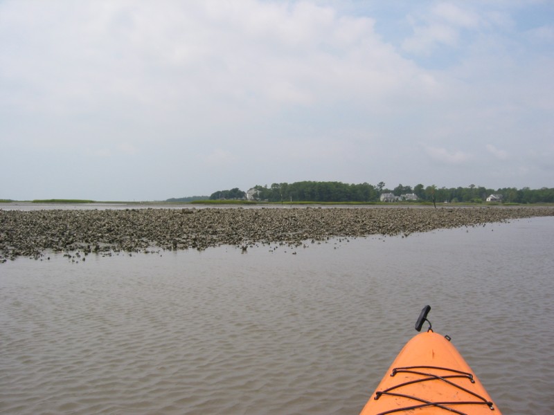 IMG_0371.JPG