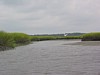 IMG_0356.JPG