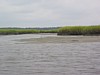 IMG_0358.JPG