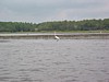 IMG_0365.JPG