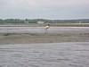 IMG_0366.JPG