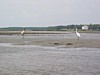 IMG_0369.JPG