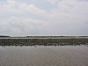 IMG_0372.JPG