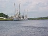 IMG_0376.JPG
