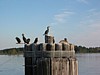 IMG_0683.JPG