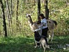 IMG_0558.JPG